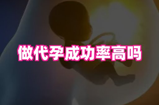 61助孕网 2