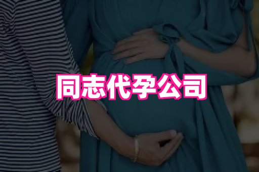 61助孕网 4